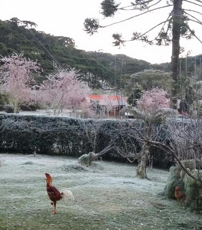 Recanto Da Natureza, Chale Gonçalves Zewnętrze zdjęcie